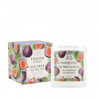 Ароматическая свеча Инжирное дерево у моря Panier des Sens Home Scented Candle Fig Tree By The Sea - AMB30023