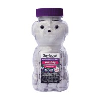 Самбукол медвежуйки от 4 до 12 лет Sambucol Kids Chewable Teddies 60