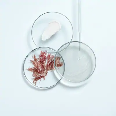 Успокаивающая эмульсия Thalgo Cica Marine Soothing Fluid