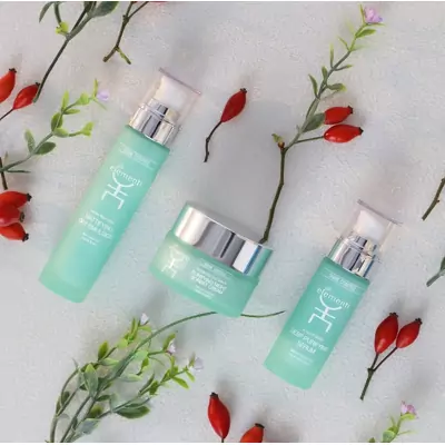 Крем для лица Gli Elementi Purifying Night Sorbet Cream