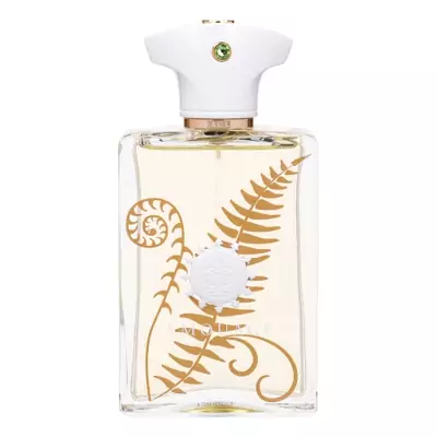 Amouage Bracken Man