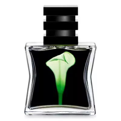 Парфумована вода №22 Green SG79 STHLM